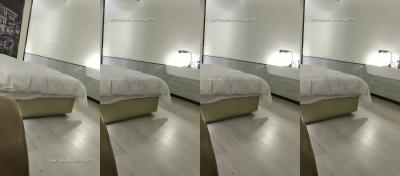 探花20081020200215(1).